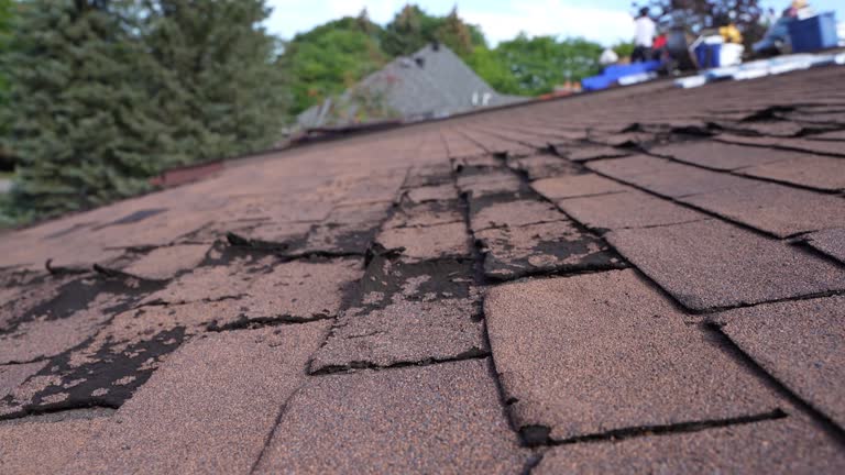 Best Asphalt Shingle Roofing  in La Marque, TX