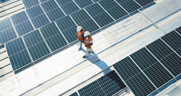 Best Solar Panel Roofing Installation  in La Marque, TX