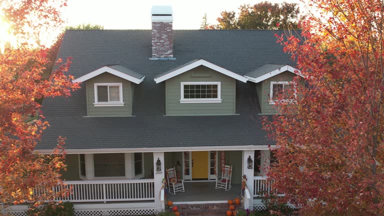 Best Skylight Installation and Repair  in La Marque, TX