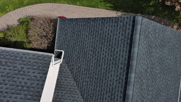 Professional Roofing Service in La Marque, TX