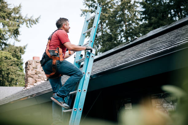 Best Roof Moss and Algae Removal  in La Marque, TX