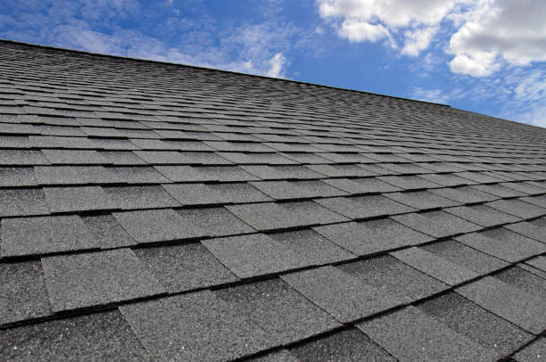 Best Sheet Metal Roofing  in La Marque, TX