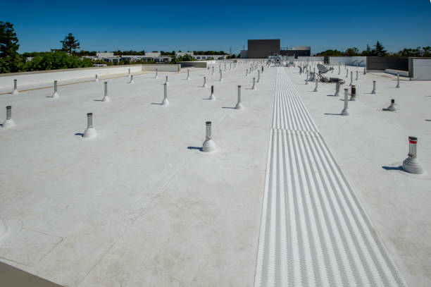 Best Solar Panel Roofing Installation  in La Marque, TX